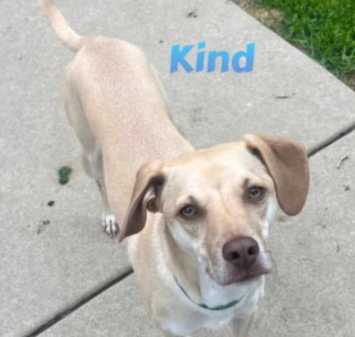 Photo of Kind