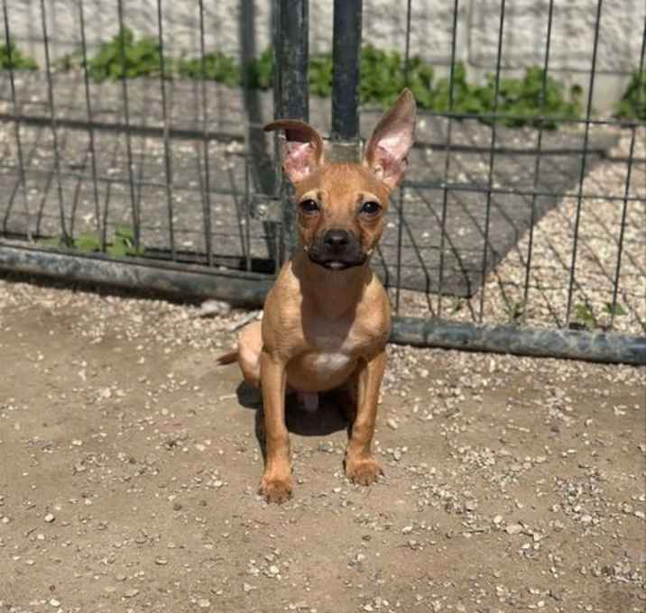 Photo of Hashtag Remy