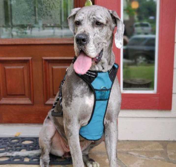 Photo of Skyla