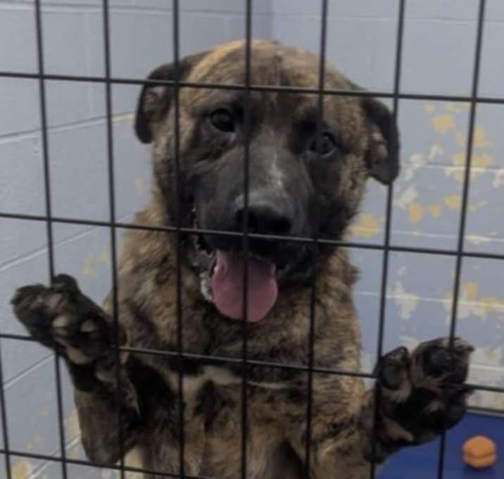 Photo of Luther McBrindle