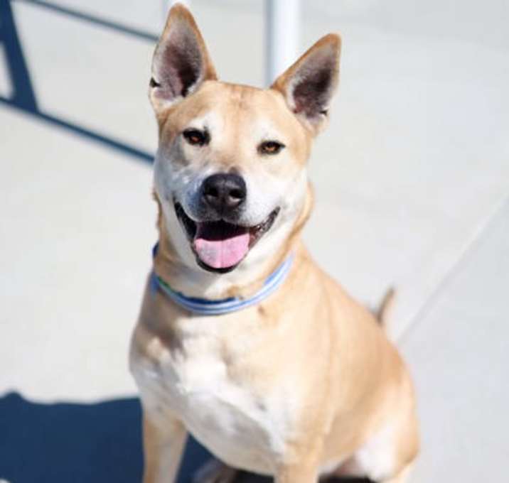 Photo of Jake