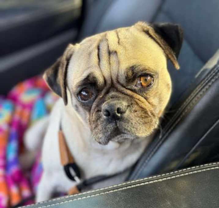 Photo of Finnegan
