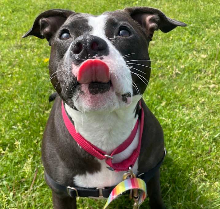 Photo of Candy