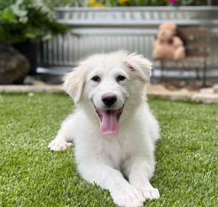 Photo of Osa