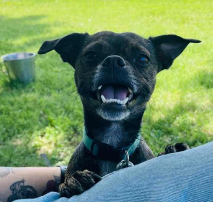 Photo of Jack