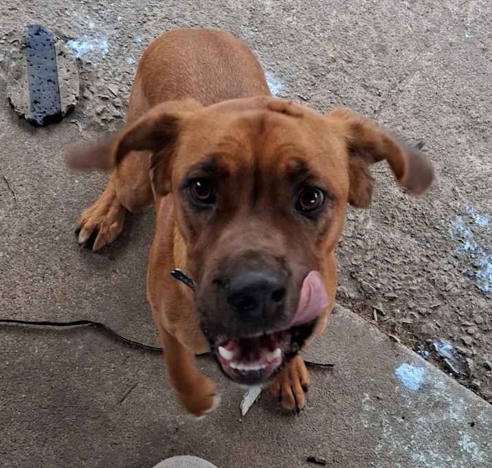 Photo of Jake