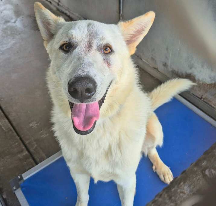 Photo of Jake 