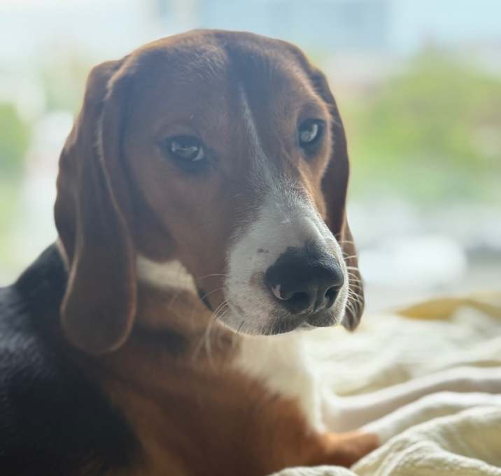 Photo of Evan