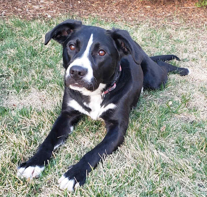 Photo of Sammy