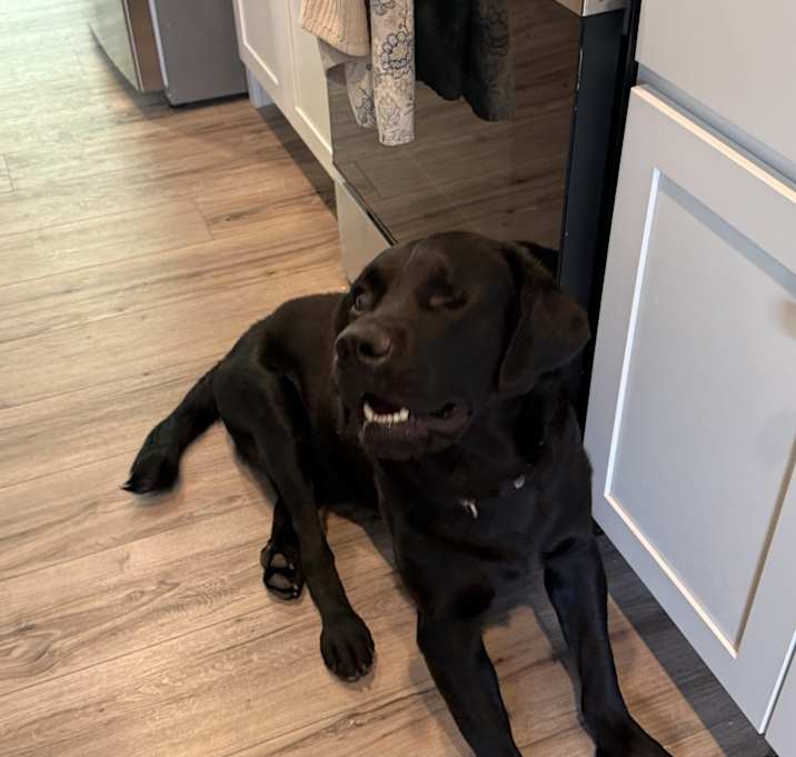 Photo of Asher