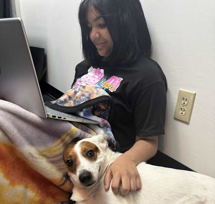 Photo of Luna