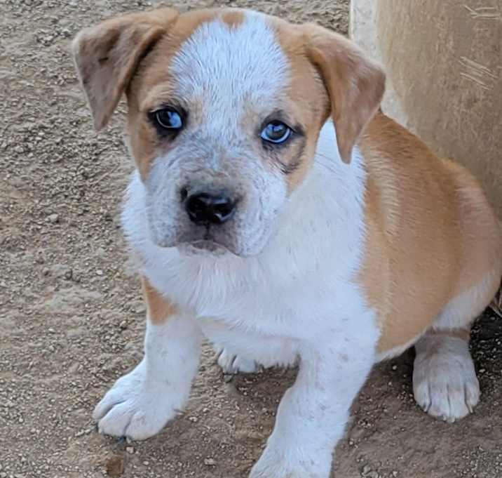 Photo of Bingo