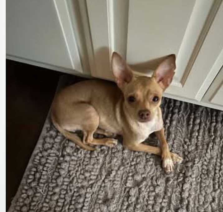 Photo of Penelope