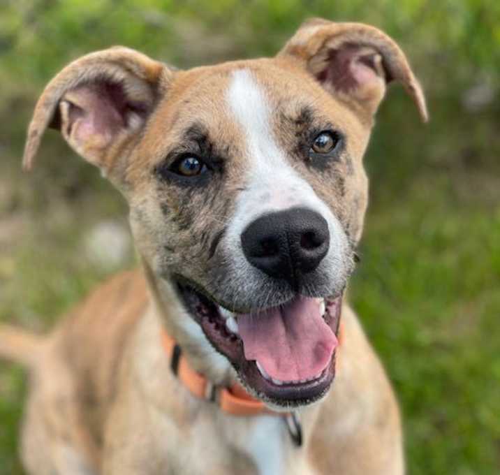 Photo of Abner