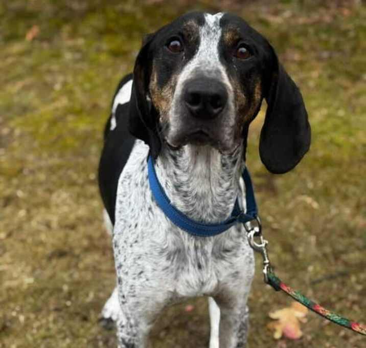 Photo of Hermie