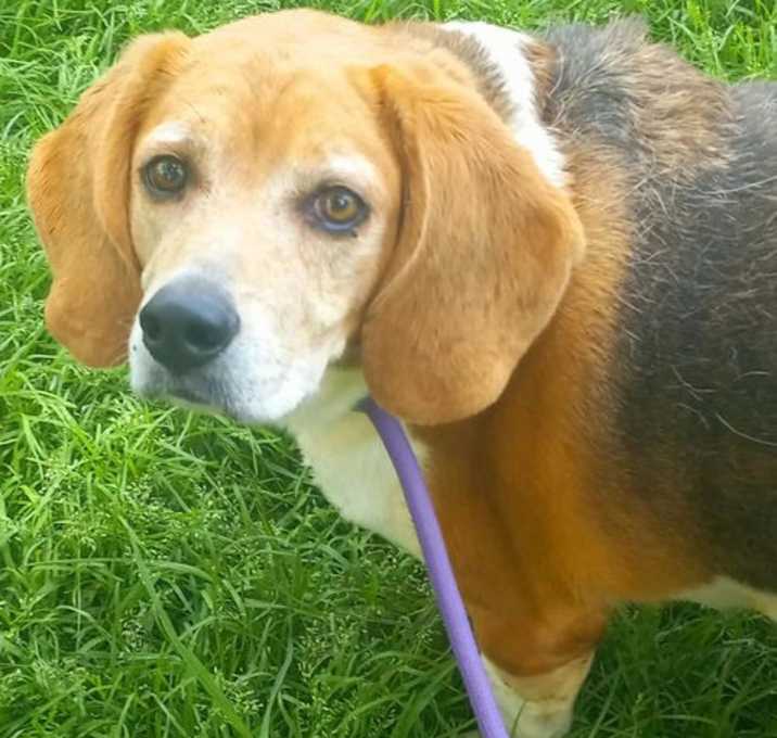 Photo of Copper