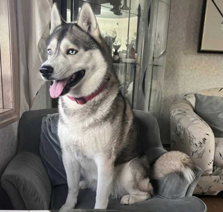 Photo of Ria