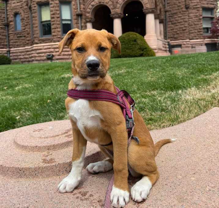 Photo of Charlie (TTP10)