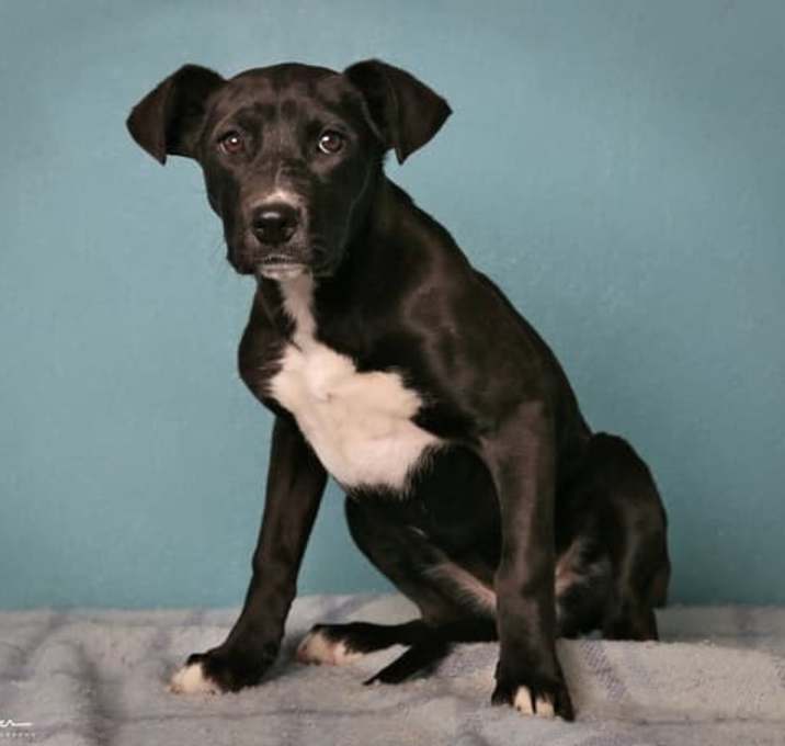 Photo of Chloe
