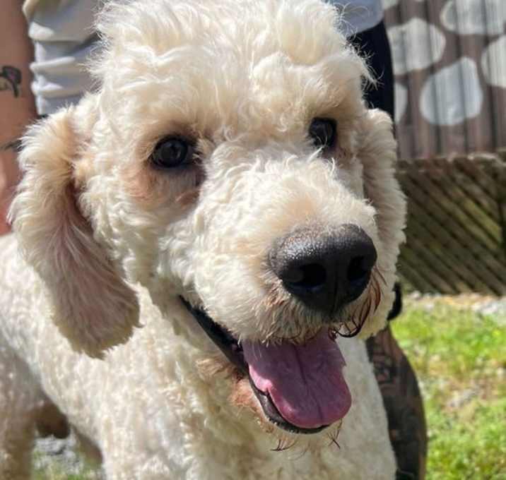 Photo of Maverick May 25