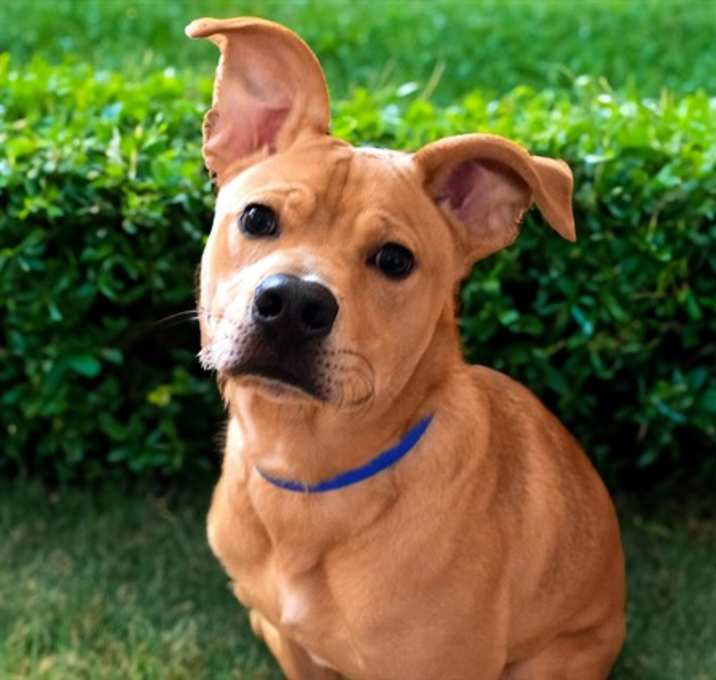 Photo of REESE