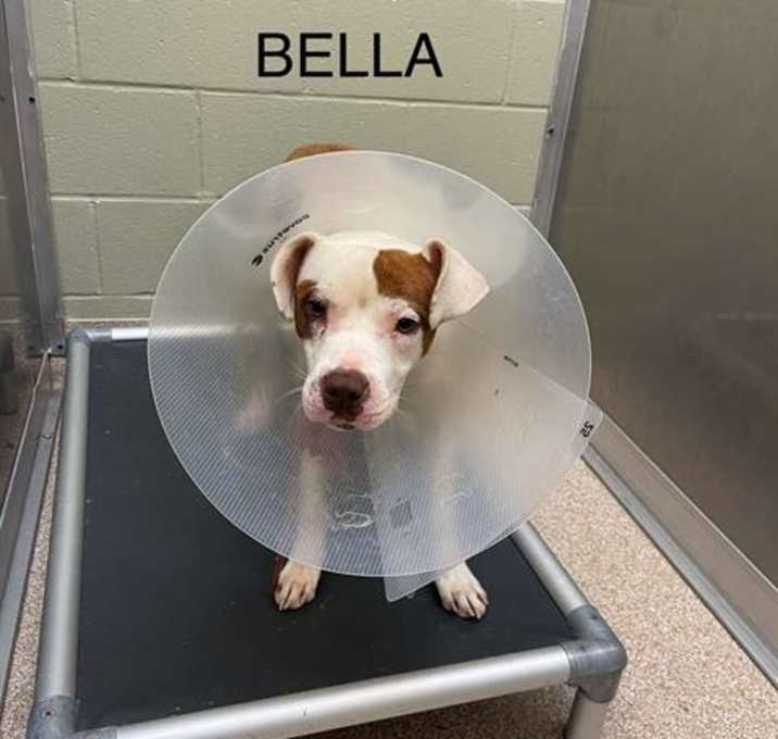 Photo of BELLA GASSAWAY