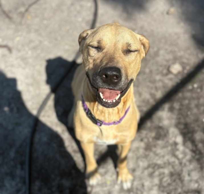 Photo of Blossom