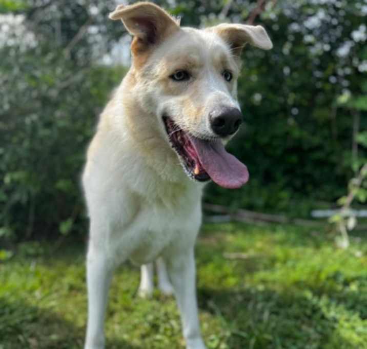 Photo of Dug
