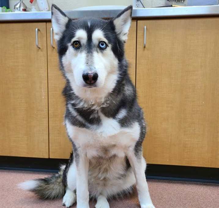 Photo of NOVA