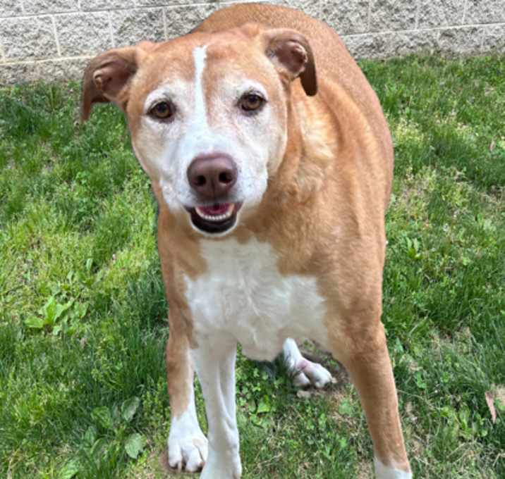 Photo of Nala