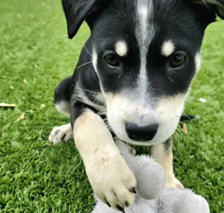 Photo of Tuesday