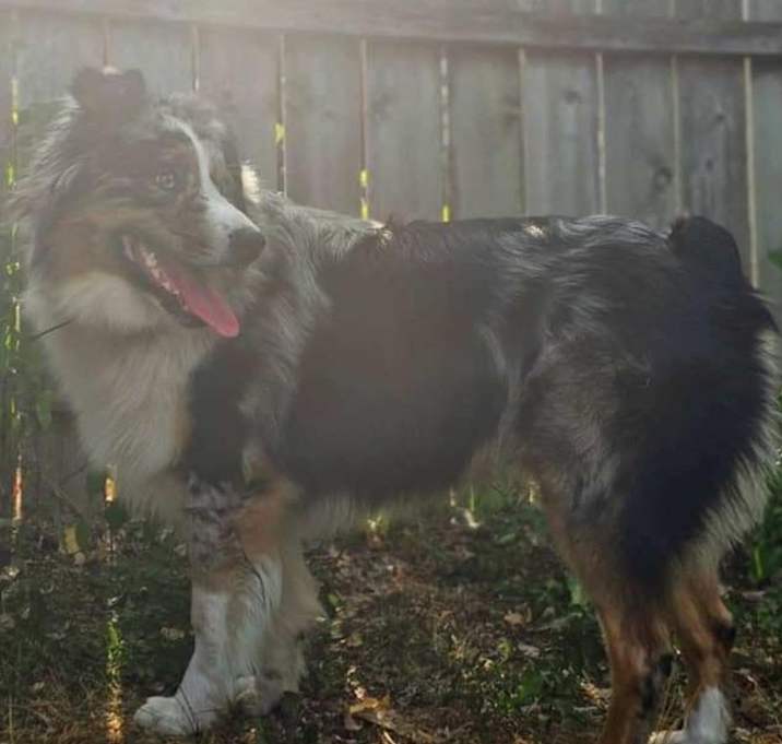 Photo of Finnegan Blue