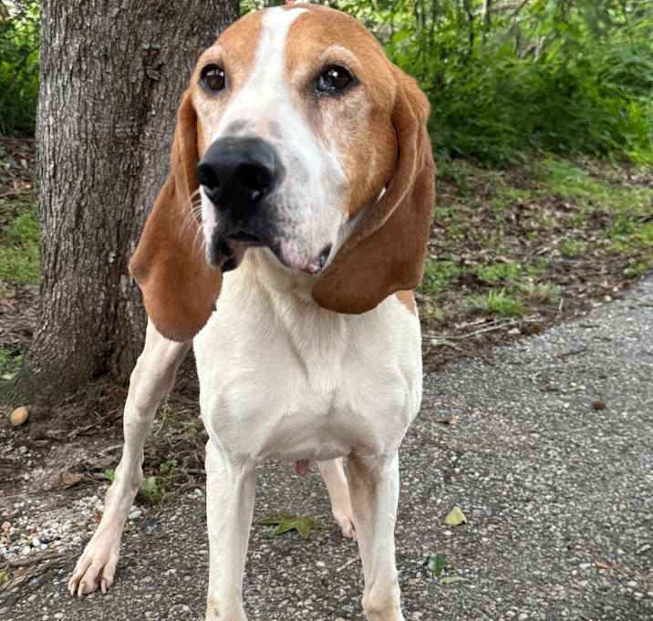 Photo of Pawcasso