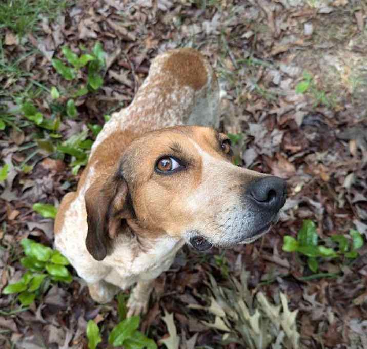Photo of Charlene