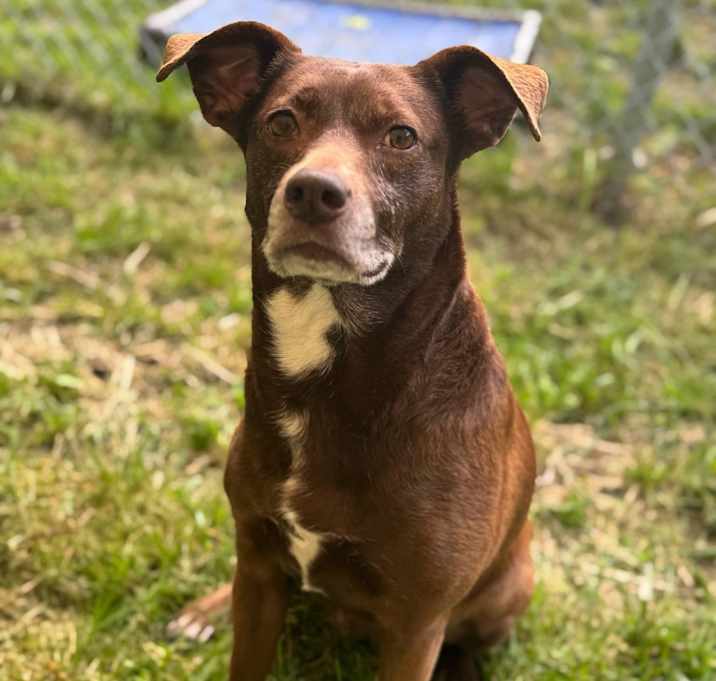Photo of Gertrude