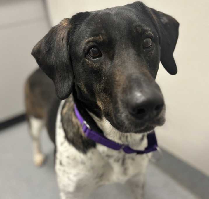 Photo of Oakley