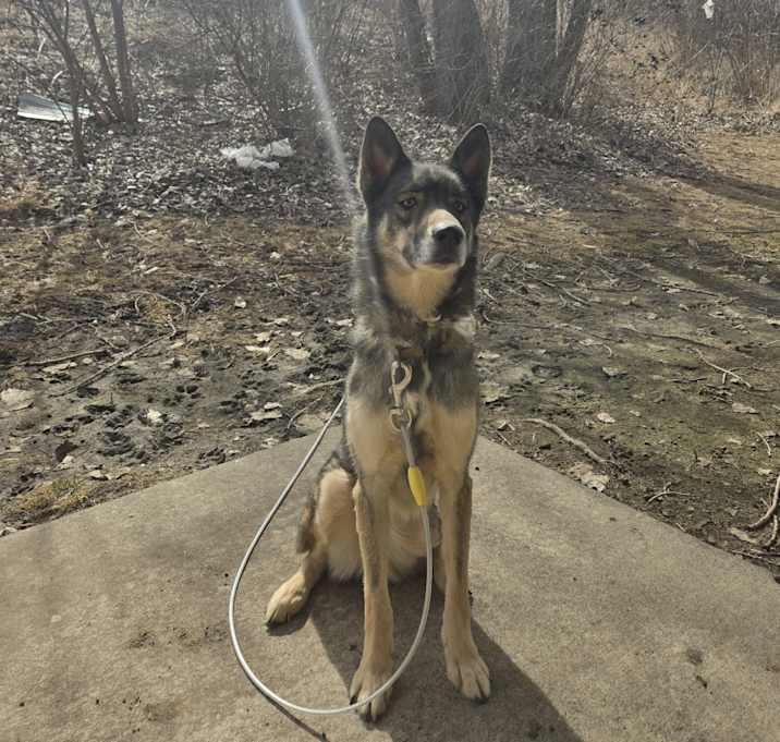Photo of Athena