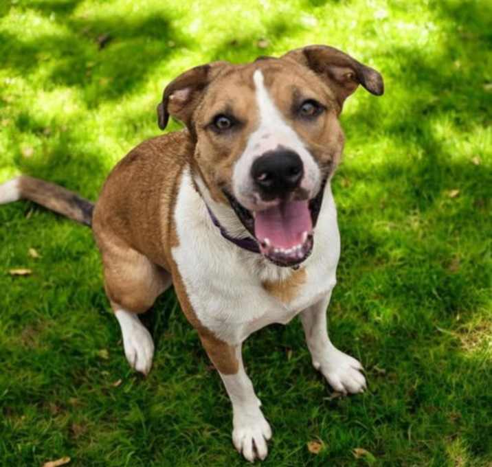 Photo of Kali