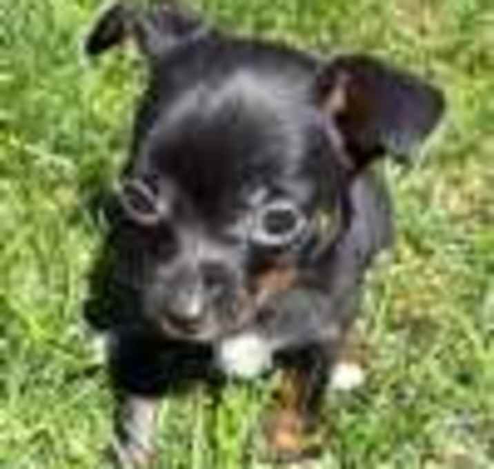 Photo of Mimi