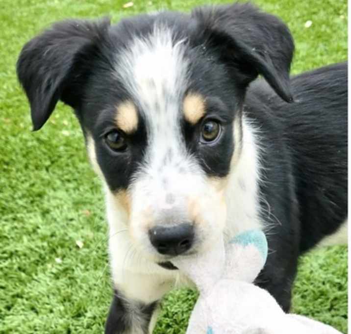 Photo of Thursday