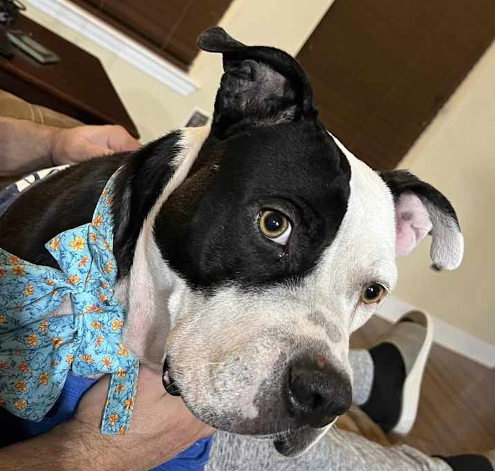 Photo of Dorothy