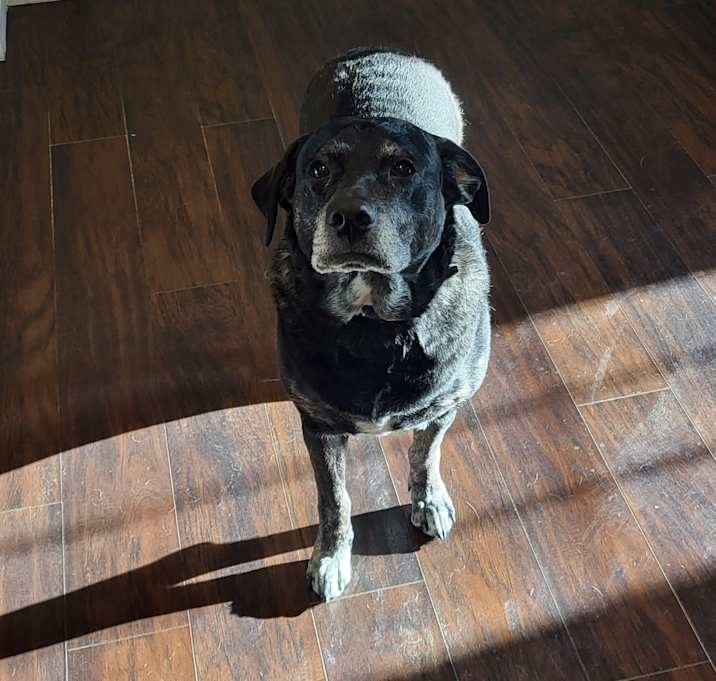Photo of Ben
