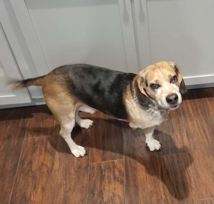 Photo of Gus