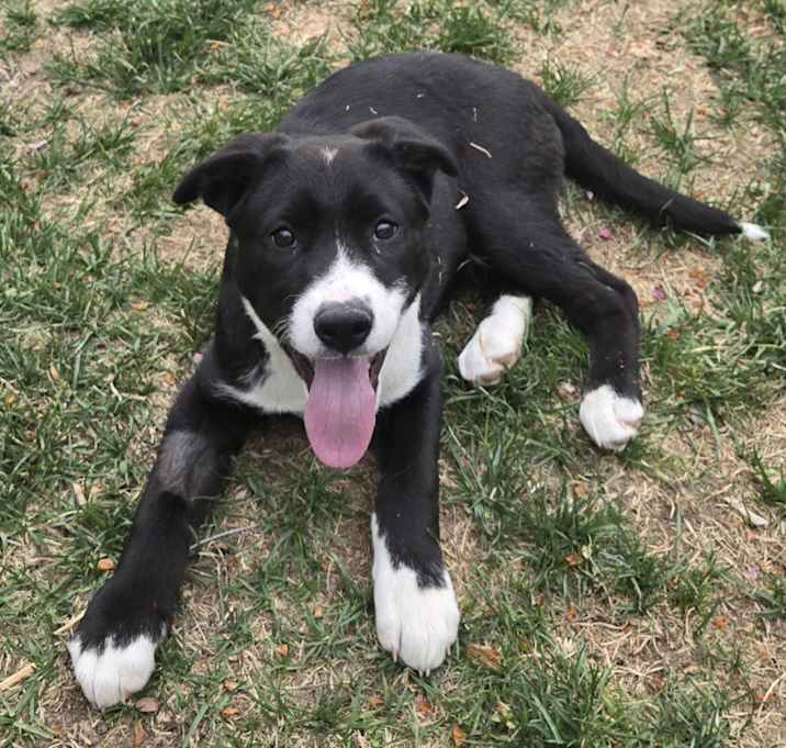 Photo of Roxy