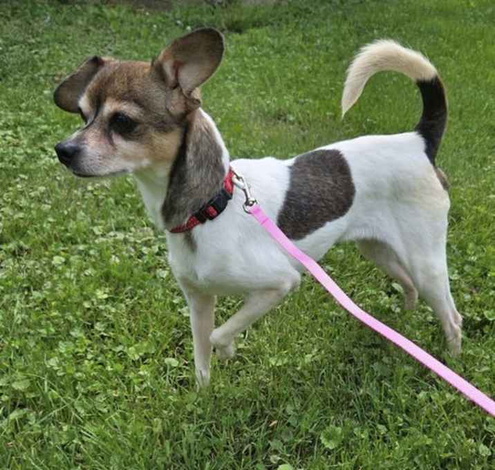 Photo of Jasmine