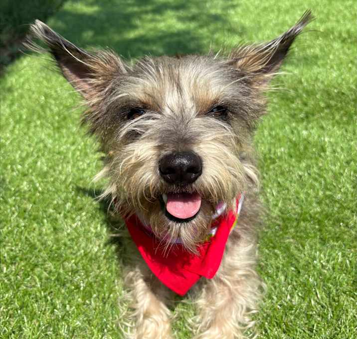 Photo of Penny