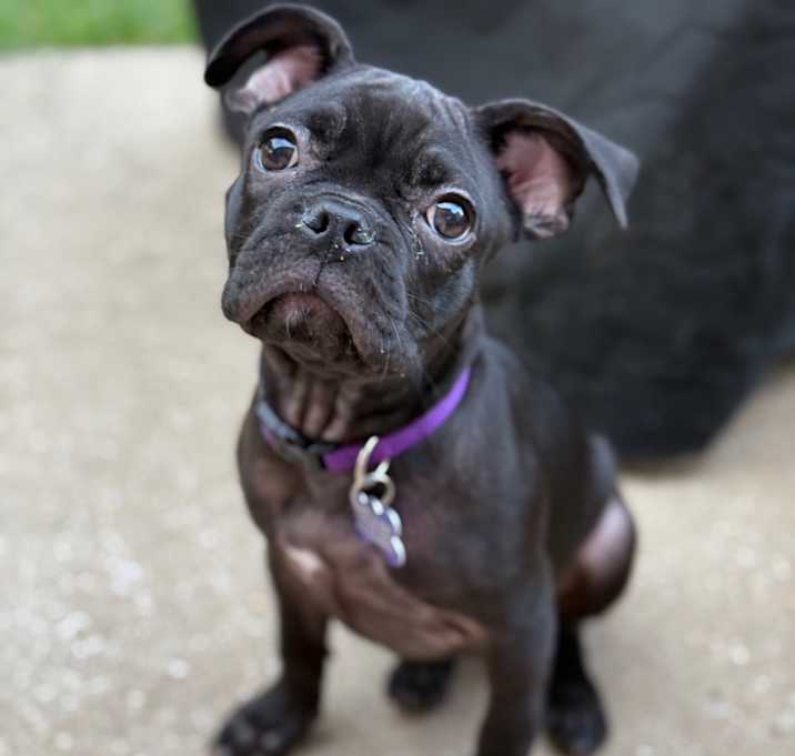 Photo of Maggie Mae B505