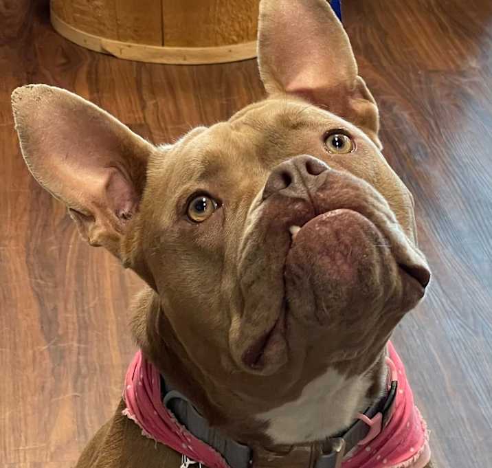 Photo of Beatrice