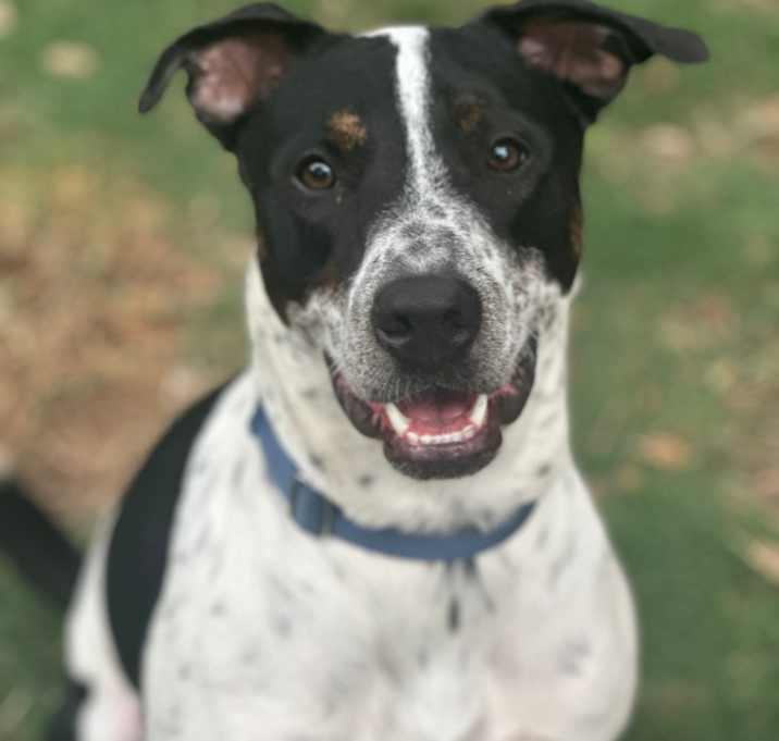 Photo of JAMESON