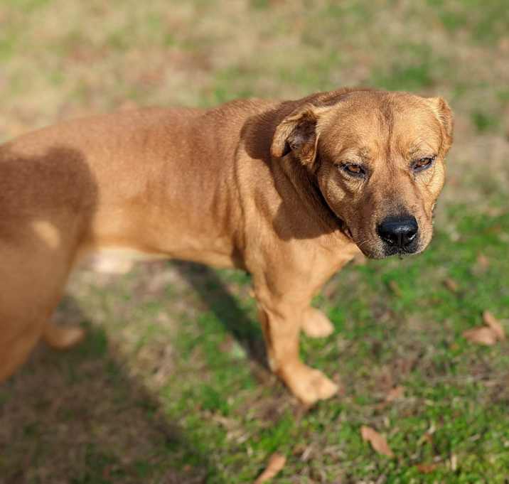 Photo of Moochie